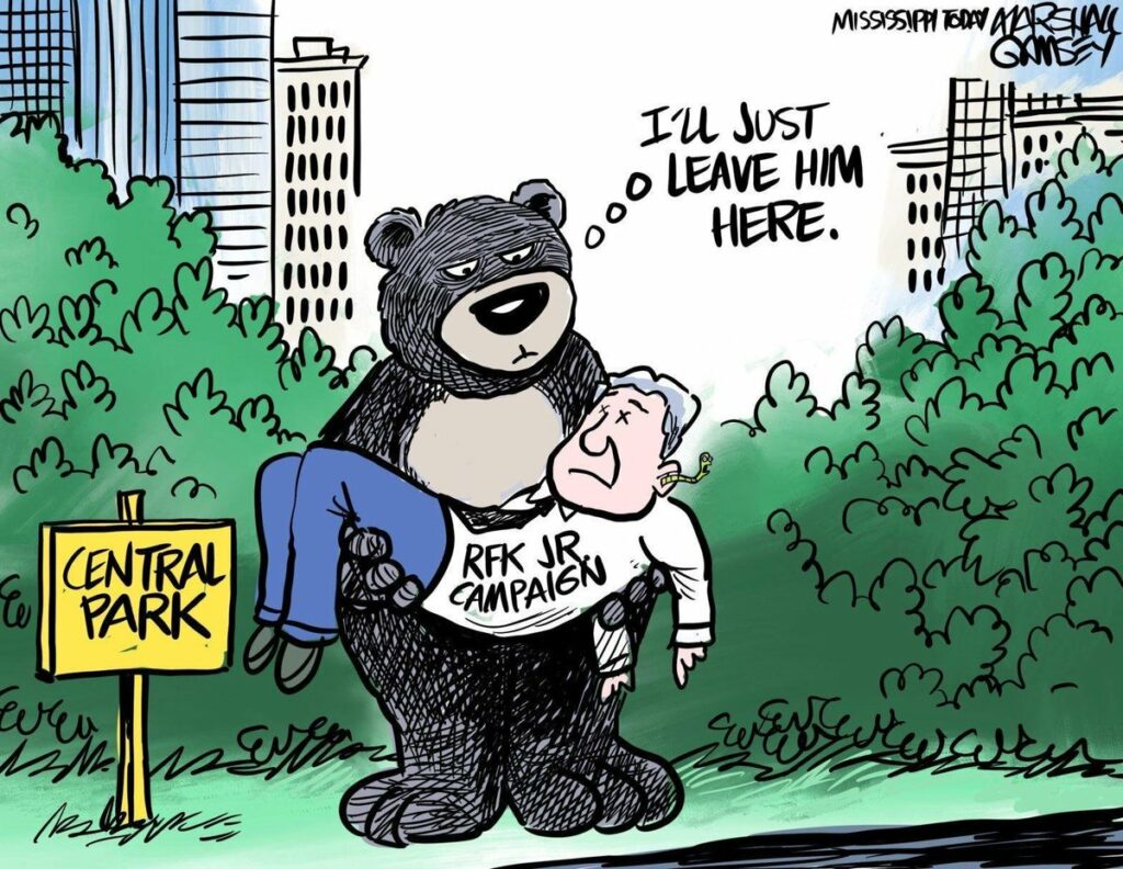 comic panel of bear in Central Park, NYC, standing and holding RFK Jr in his arms. RFK Jr is wearing a shirt that says "RFK Jr. Campaign" and has Xs for eyes. Bear is thinking "I'll just leave him here"